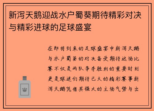 新泻天鹅迎战水户蜀葵期待精彩对决与精彩进球的足球盛宴