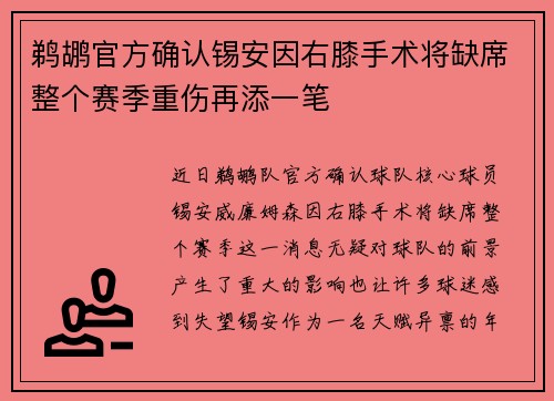 鹈鹕官方确认锡安因右膝手术将缺席整个赛季重伤再添一笔